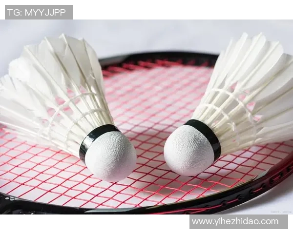 从零起步羽毛球配合技巧全解析助你成为场上明星