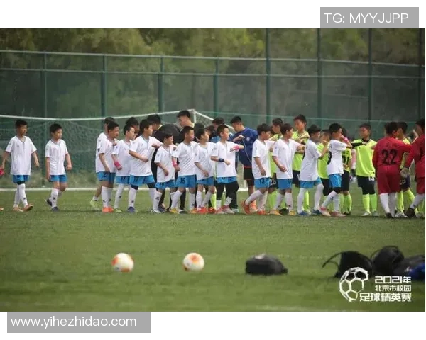 北京足球队在精英赛中的状态分析与表现评估 北京足球队在精英赛中的状态分析与表现评估