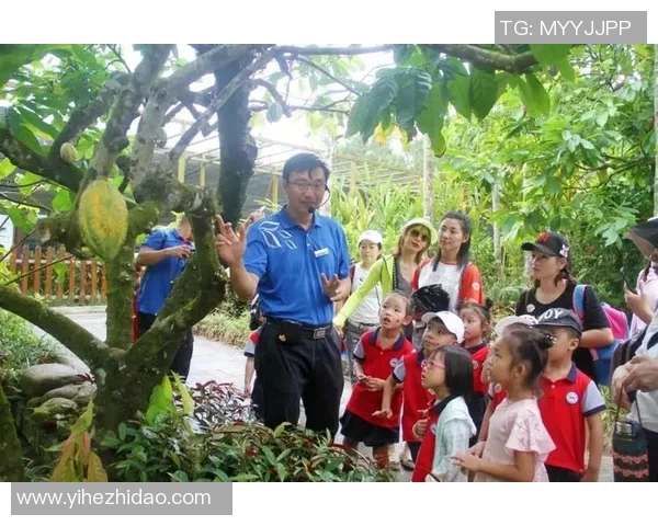 南方与北方足球文化的碰撞与融合探讨