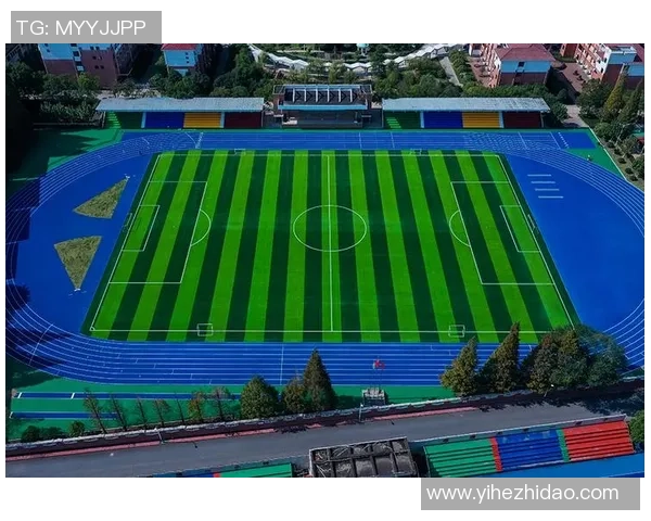 学校体育设施丰富多样足球与篮球数量对比分析