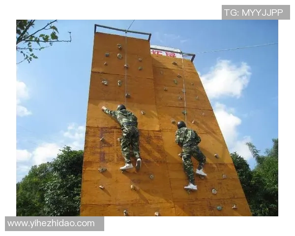 攀岩巨献：深入解析上海攀岩队的耐力与训练秘诀