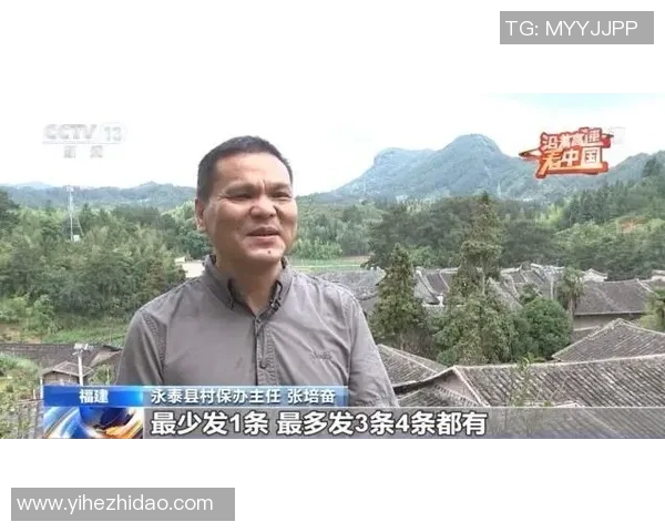 禁忌足球踢的背后故事与文化探讨揭示了运动中的禁忌与挑战